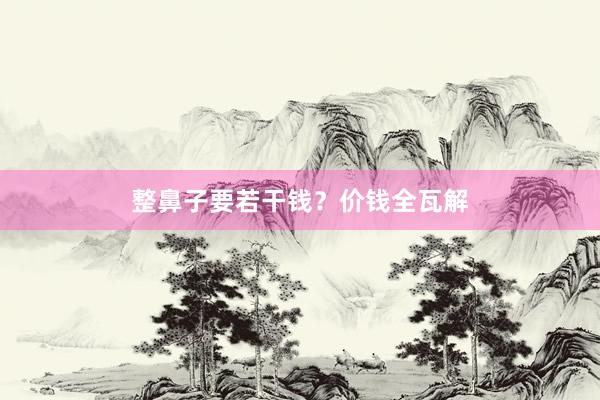 整鼻子要若干钱？价钱全瓦解