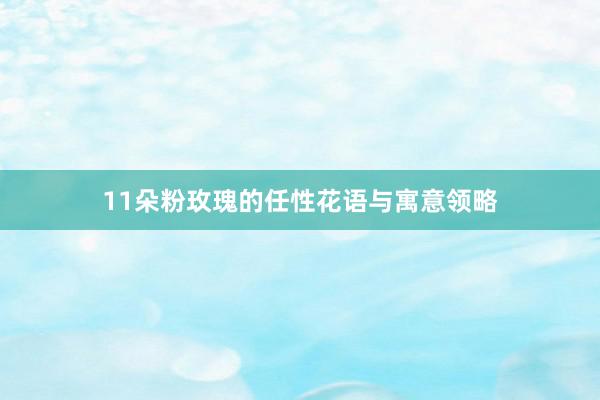11朵粉玫瑰的任性花语与寓意领略