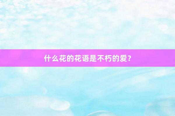什么花的花语是不朽的爱？
