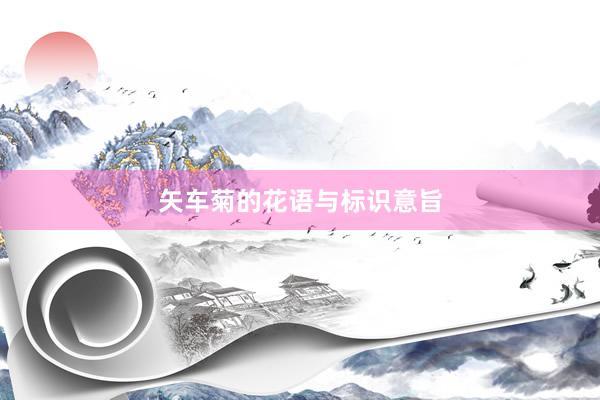 矢车菊的花语与标识意旨