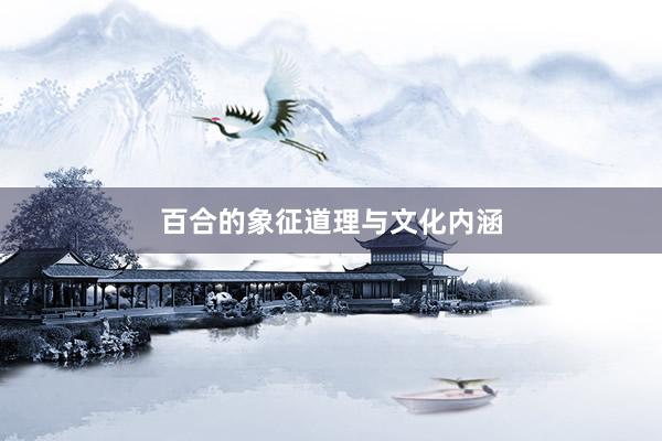 百合的象征道理与文化内涵